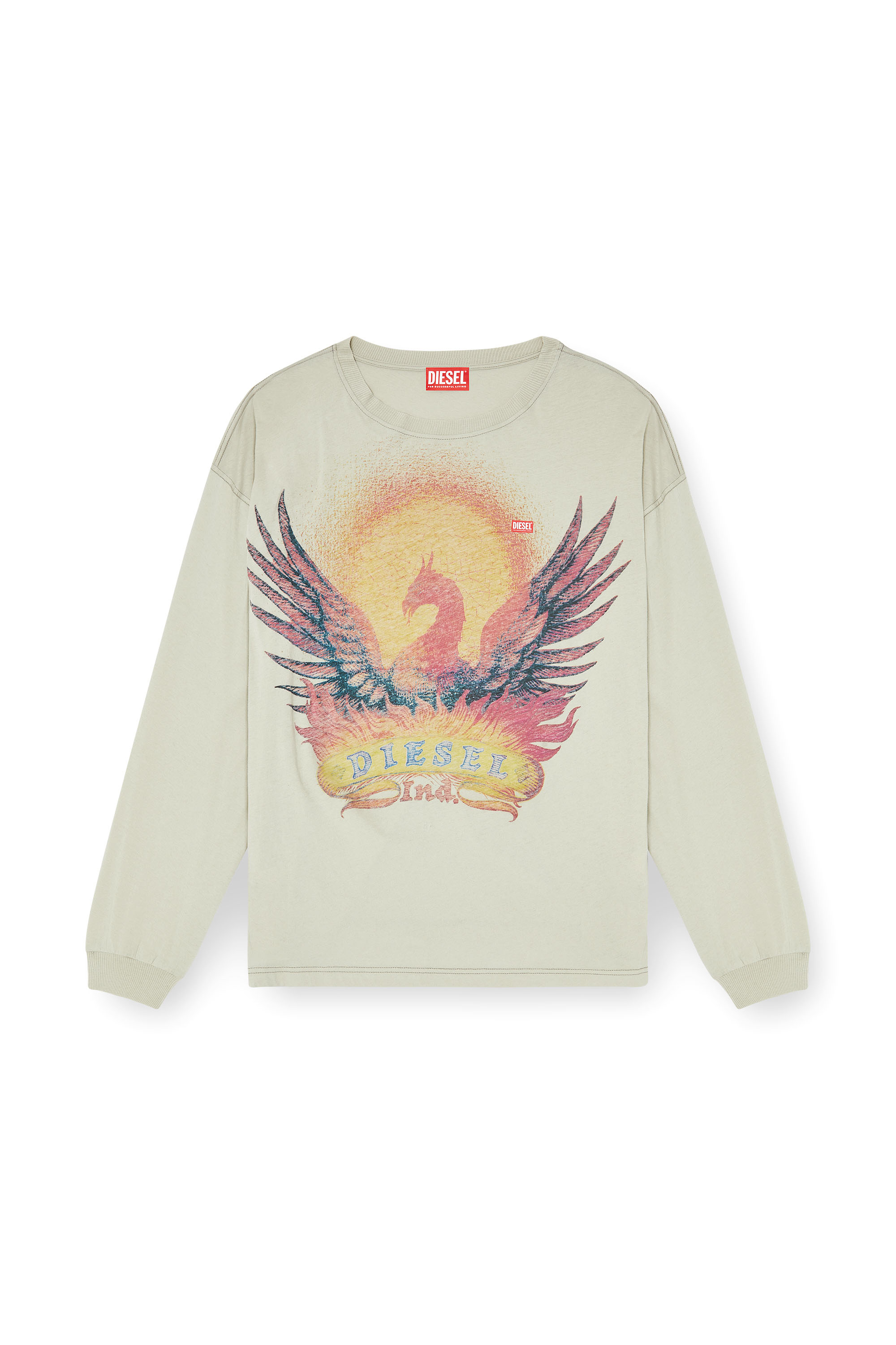 Diesel - T-BOXT-LS-AA1, Man's Long sleeve T-shirt with Phoenix graphic in Beige - 3