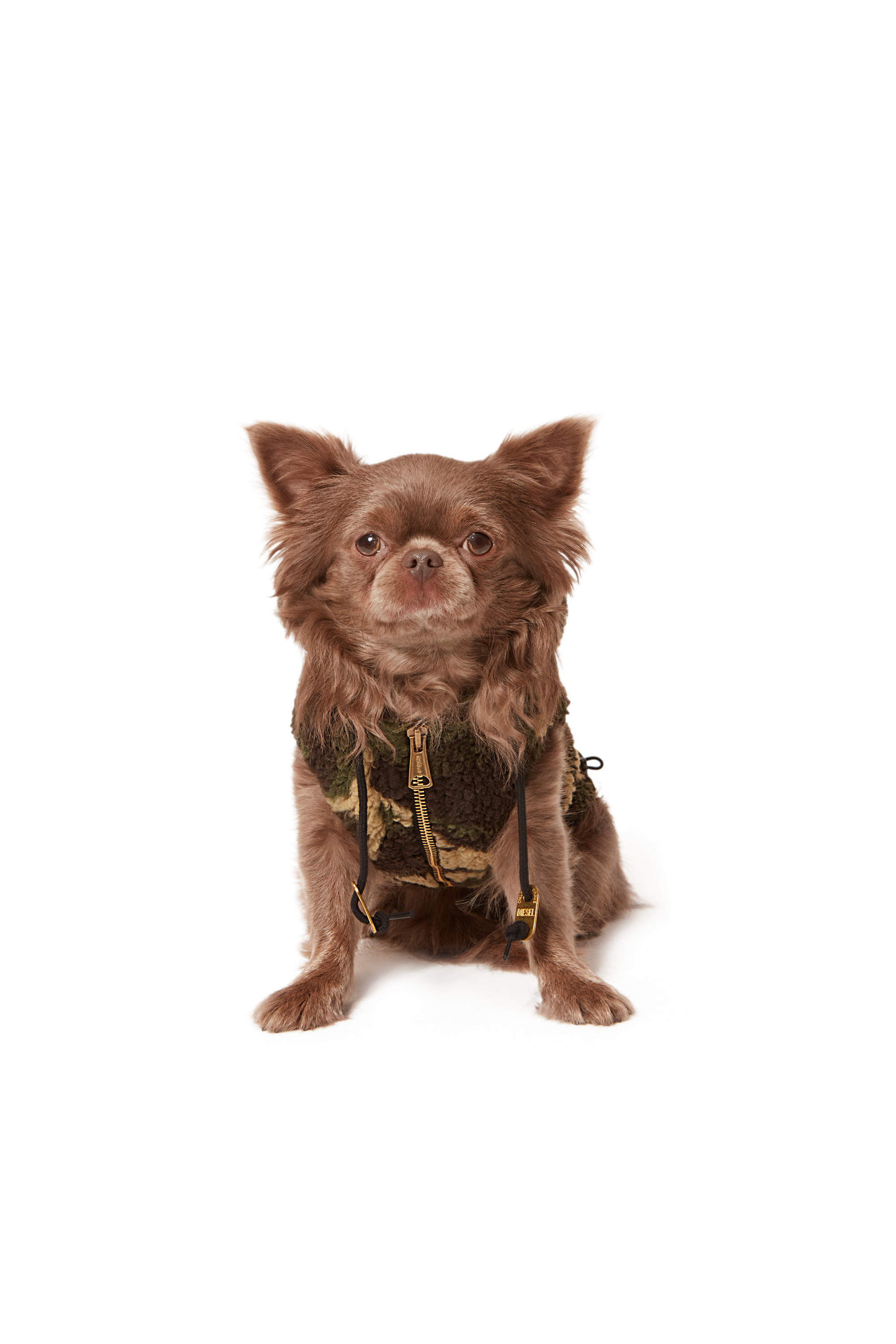 Diesel - PET-ILITARY, Military Green - Image 3